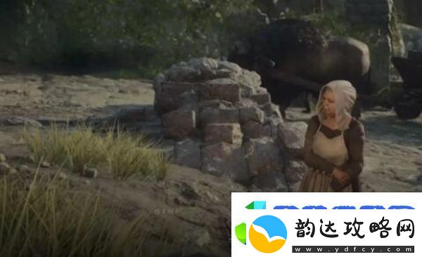 龙之信条2被掳走的少年攻略