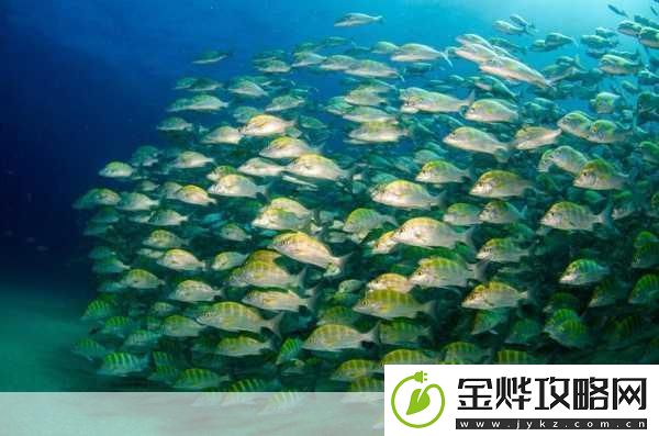 探索暗礁下载
