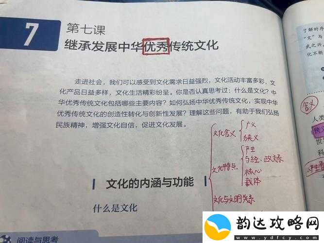 丰年经与中文