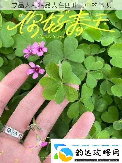 成品人和精品人在四叶草中的体现