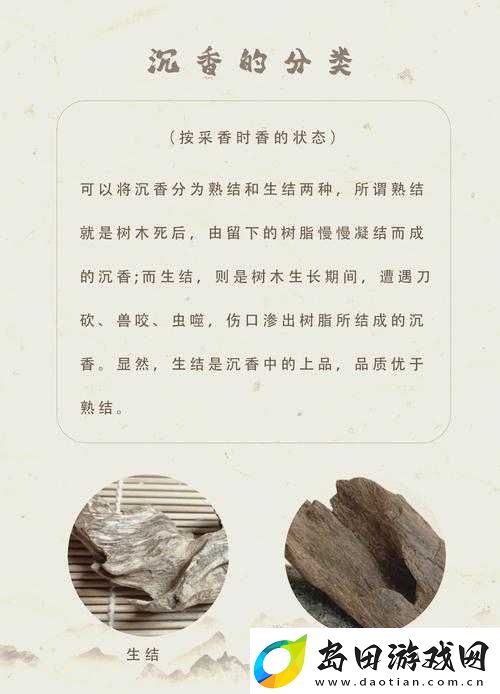 大香煎在钱jia