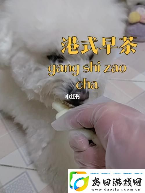 探索“人与动物胶配方视频”的秘密