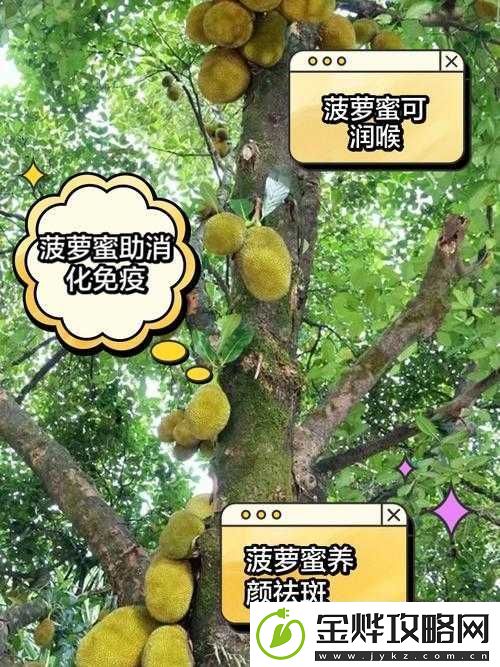 菠萝菠萝蜜高清视频之精彩内容详细解析与欣赏