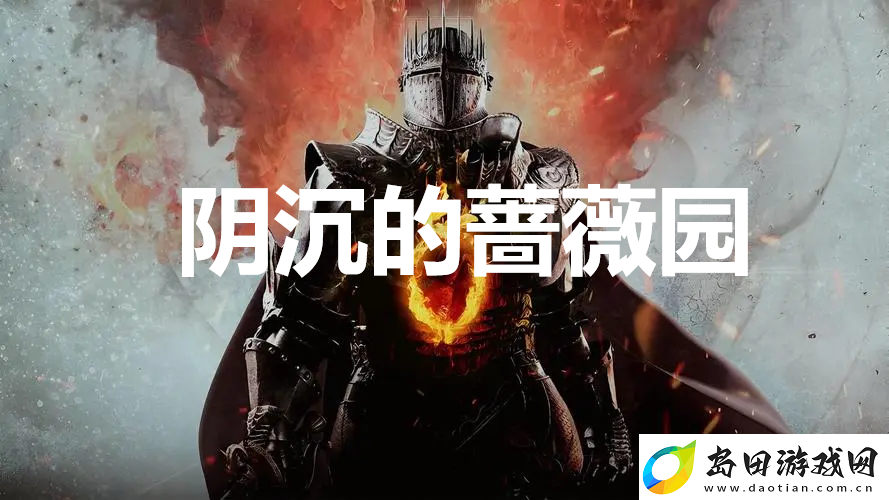 龙之信条2支线任务阴沉的蔷薇园怎么完成