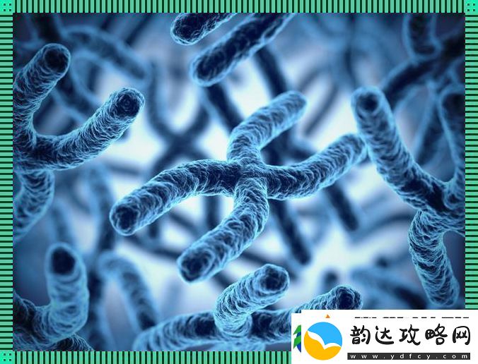 妈耶！DNA亲子鉴定大乌龙友直呼