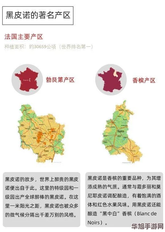 911精产国品一二三产区区别