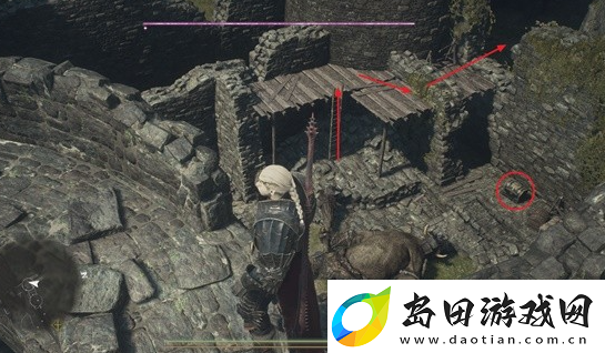 龙之信条2支线任务汝知之乎怎么完成
