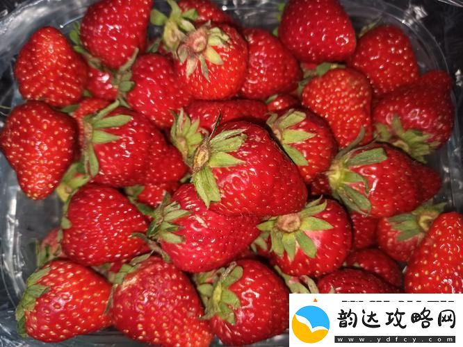 我想吃你的小草莓下一句2023