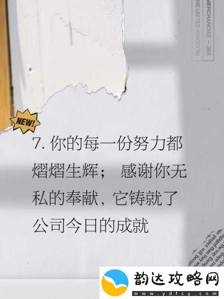 女员工的付出中字