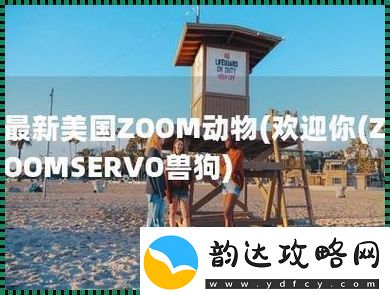 “ZOOMSERVO兽狗”