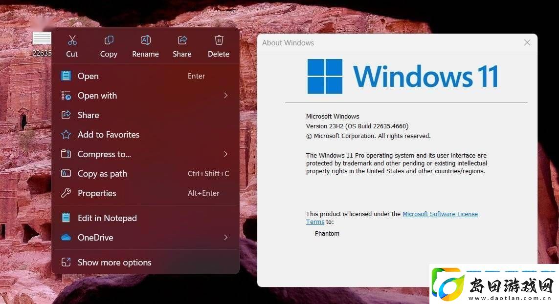 Win11