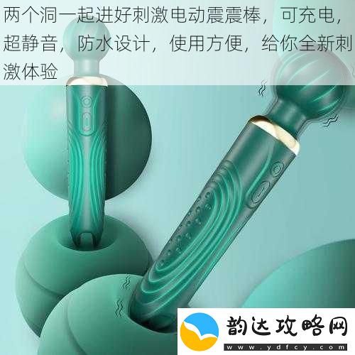两个洞一起进好刺激电动震震棒
