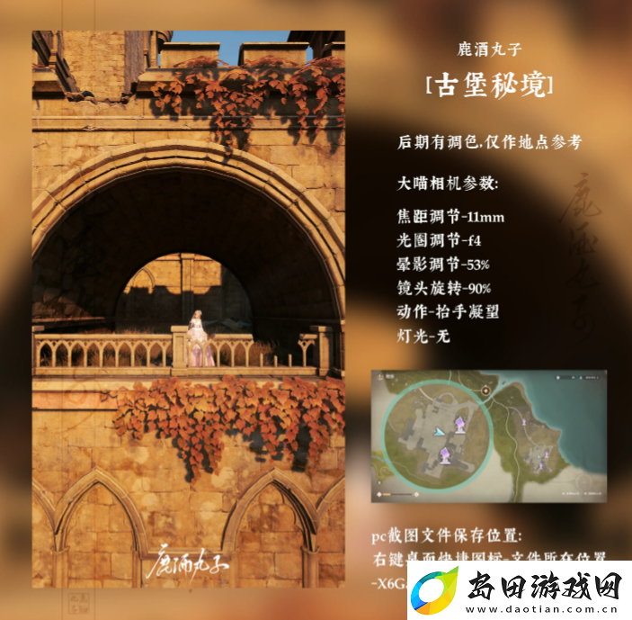 无限暖暖花海后的古堡拍照攻略花海后的古堡拍照位置及参数推荐