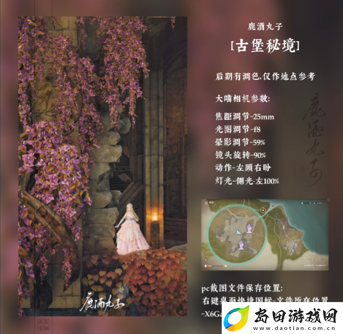 无限暖暖花海后的古堡拍照攻略花海后的古堡拍照位置及参数推荐