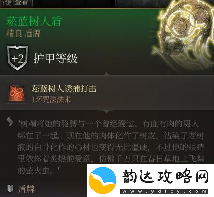 博德之门3菘蓝树人盾获取方法介绍