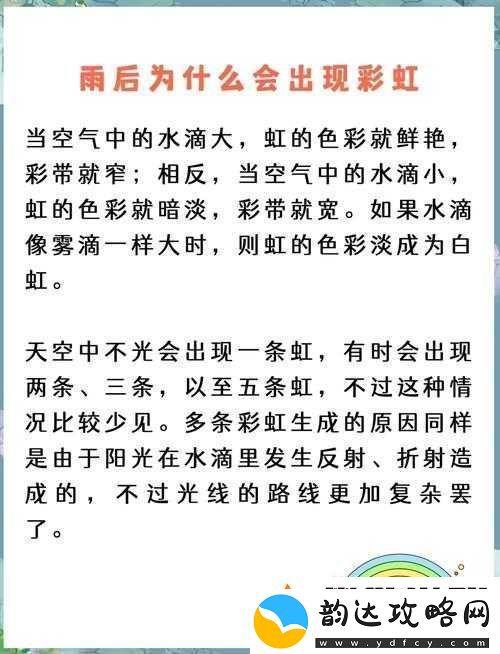 雨后的小故事