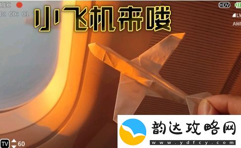 小飞机来了喔是什么梗络用语