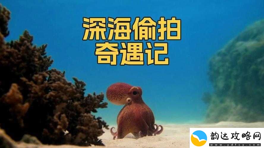 宅男与少年意外相遇