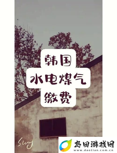 好看的韩国三色电费
