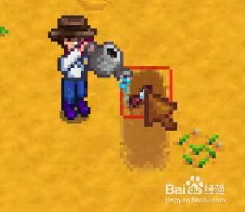 星露谷物语怎么进行耕种