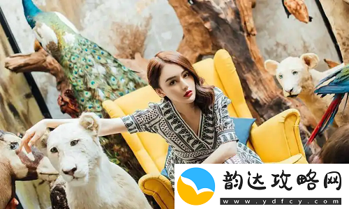 高清乱码问题如何通过破解版解决