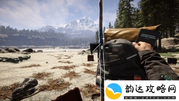 森林之子通关攻略图文大全交易行系统操作详解