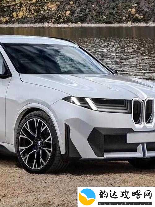 国产与进口x7x7x7槽比较