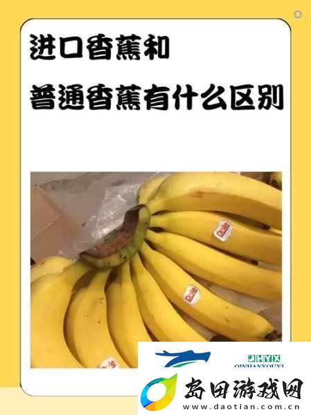 国产香蕉和进口香蕉的价格比较