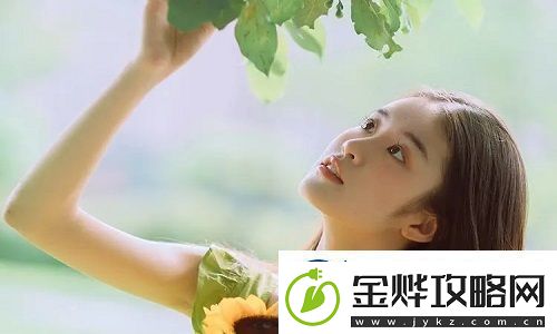 日本2024年免费三色电费政策是什么
