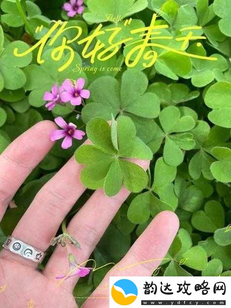 成品人和精品人的区别