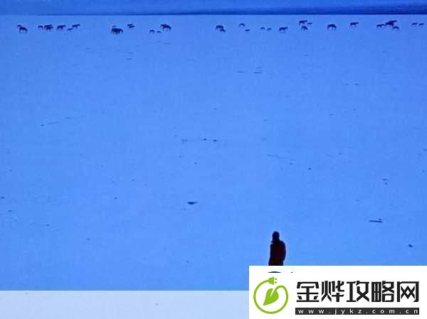 无人区一码二码三码四码