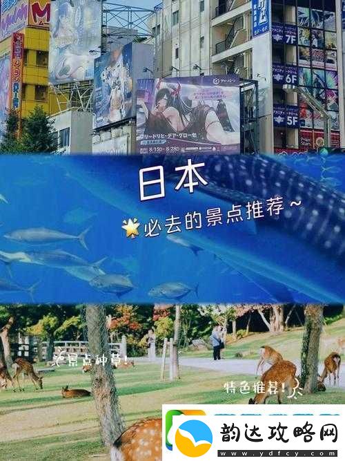日本色倩网
