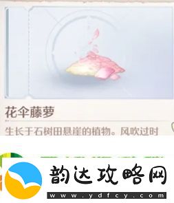 无限暖暖花伞藤萝购买位置解析
