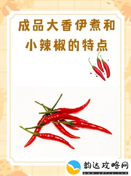 成品大香伊煮和小辣椒的特点