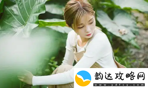 丰满的**HD中字版热议