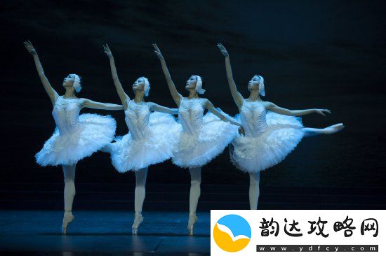 经典芭蕾舞剧天鹅湖12月28