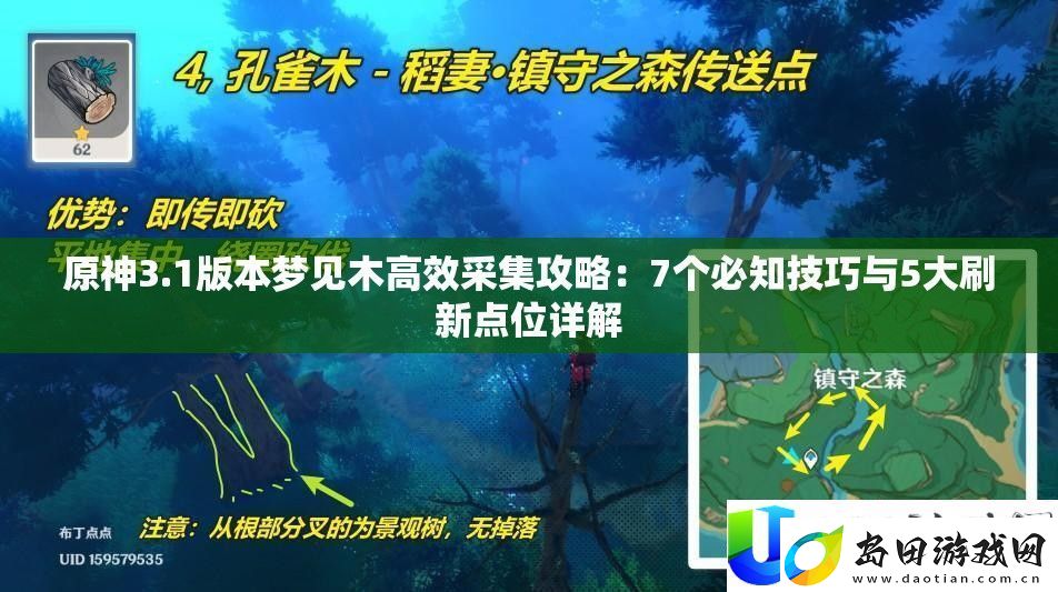 原神3.1版本梦见木高效采集攻略