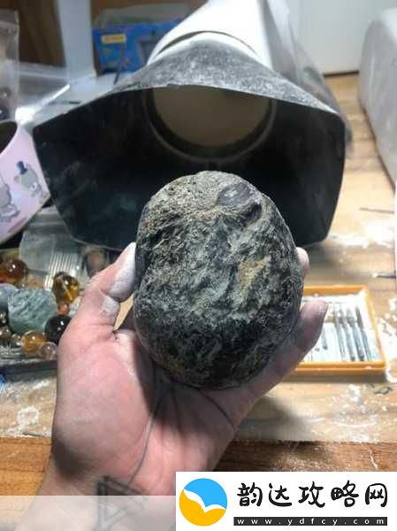冰原守卫者