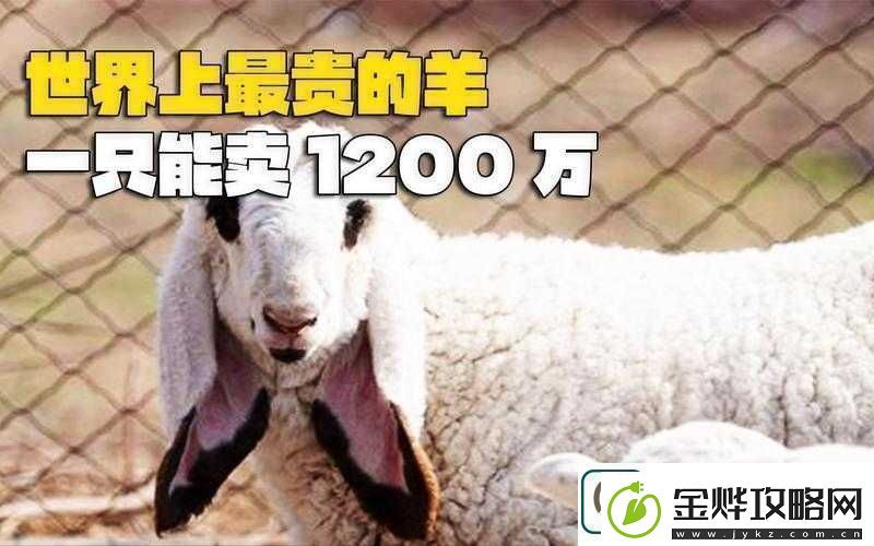 人类黎明之羊毛大发现