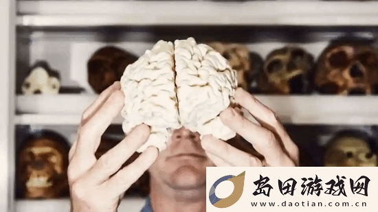 最新研究显示