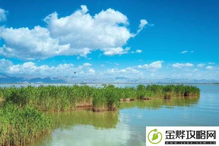 怡红院导航