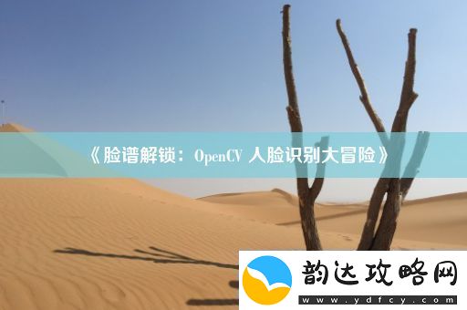 脸谱解锁