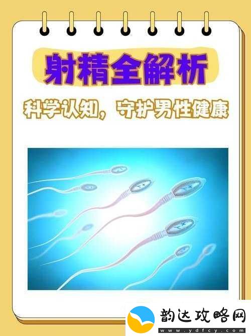 关于