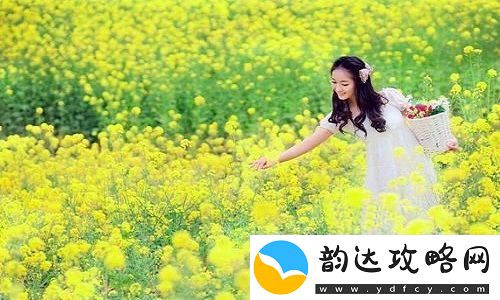 日本免费三色电费2024年