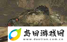 怪物猎人荒野中的集中模式有什么效果