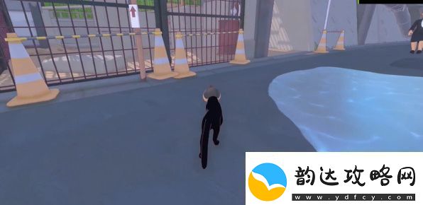 小猫咪大城市浣熊任务怎么做