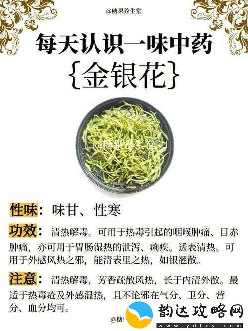 双管齐下
