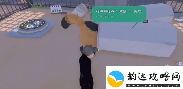小猫咪大城市浣熊任务怎么做
