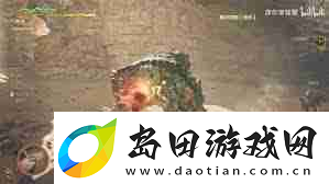 怪物猎人荒野中的集中模式有什么效果