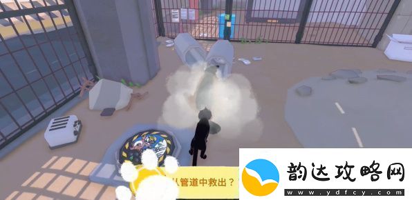 小猫咪大城市浣熊任务怎么做